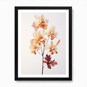 Pressed Wildflower Botanical Art Beechdrops 2 Art Print