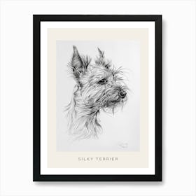 Silky Terrier Dog Line Sketch 2 Poster Art Print