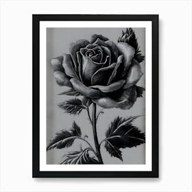 Dark Gothic Black Rose Art Print