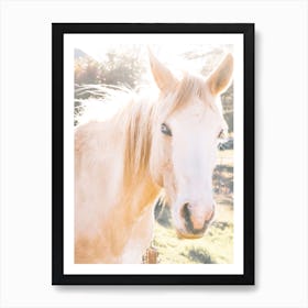 Palomino Horse Poster