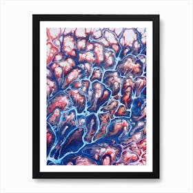 Coral Sea Art Print