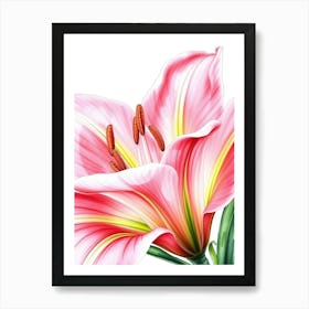 Pink Lily 3 Art Print