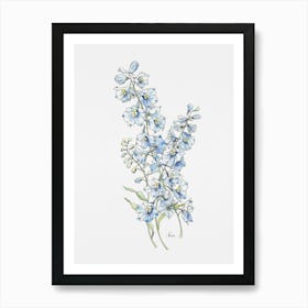 Sky Blue Delphinium Art Print