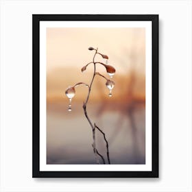 Tiny Drops Art Print