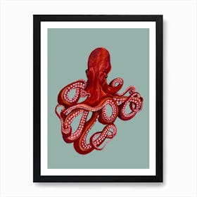 Octopus On Mint Animal Art Print