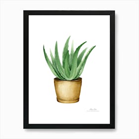 Aloe vera plant. Green plant. Beautiful plant. Thorns plant. Aloe vera flowers.12 Art Print