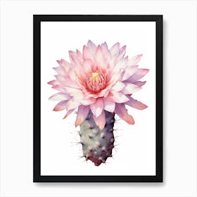 Gymnocalycium Cactus Watercolour Drawing 1 Art Print