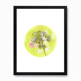 Allium On Green With Pink Art Print