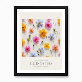 Fleurs Sechees, Dried Flowers Exhibition Poster 25 Art Print