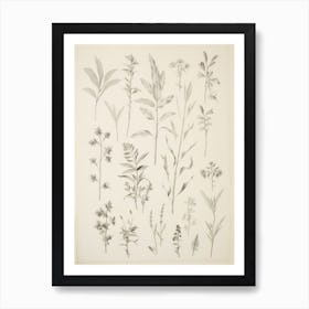 Vintage Leaf Collection Drawing Art Print