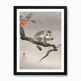 Monkey In Cockatoo (1900 1930), Ohara Koson Art Print