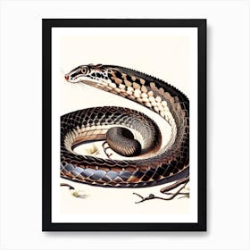 Black Tailed Rattlesnake 1 Vintage Art Print
