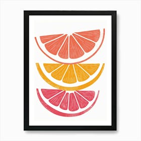 Citrus Slices 10 Art Print