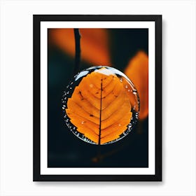 Water Droplet Art Print