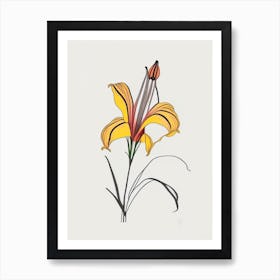 Tiger Lily Floral Minimal Line Drawing 4 Flower Art Print