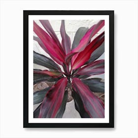 Red And Black Plant Art Print