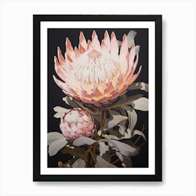 Flower Illustration Protea 11 Art Print