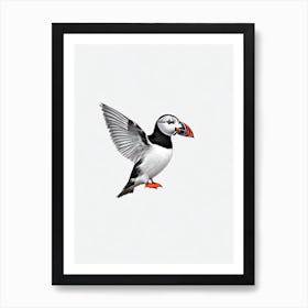 Puffin B&W Pencil Drawing 1 Bird Art Print