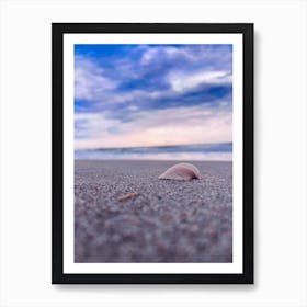 Shell By The Sea Art Print