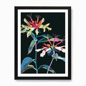 Neon Flowers On Black Bee Balm 1 Art Print