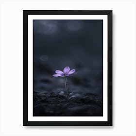 Purple Flower In The Dark 1 Art Print