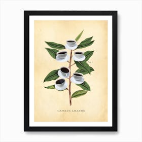 Modern Botanical Coffee Art Print