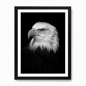 Eagle Art Print