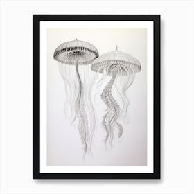 Mauve Stinger Jellyfish Drawing 4 Poster