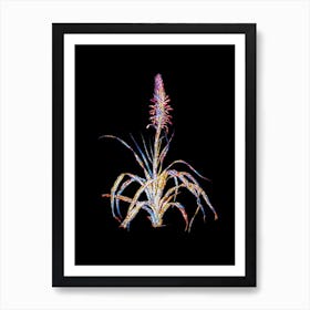 Stained Glass Pina Cortadora Mosaic Botanical Illustration on Black n.0067 Art Print