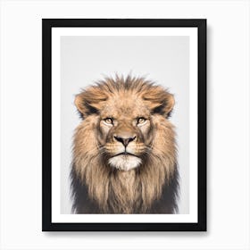 Lion Portrait Animal Art Print