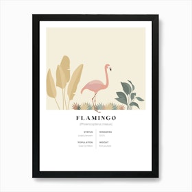 Flamingo - Jungle Fact Art Print