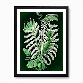 Netted Chain Fern 1 Vintage Botanical Poster Art Print