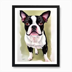 Boston Terrier 4 Watercolour Dog Poster