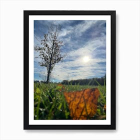 Autumn Leaves On The Grass Art Print