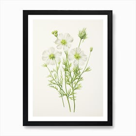 Cumin Vintage Botanical Herbs 1 Art Print