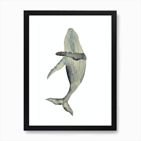 Whale Art Print