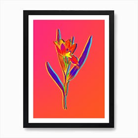 Neon Tulipa Oculus Colis Botanical in Hot Pink and Electric Blue Art Print