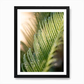 Palm Leaf With Drops Art Print