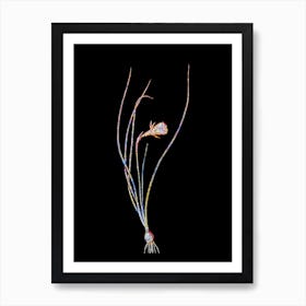 Stained Glass Daffodil Mosaic Botanical Illustration on Black n.0196 Art Print