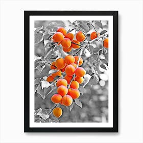 Apricots in the tree Art Print