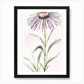 Echinacea Herb Minimalist Watercolour 3 Art Print