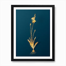 Vintage Mossel Bay Tritonia Botanical in Gold on Teal Blue n.0113 Art Print