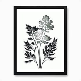 Lovage Herb William Morris Inspired Line Drawing 3 Art Print