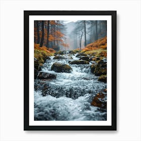 Autumn Stream In The Forest Art Print