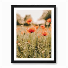 Red Poppy Flowers Art Print