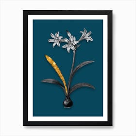 Vintage Amaryllis Black and White Gold Leaf Floral Art on Teal Blue Art Print