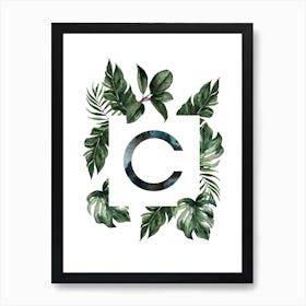 Botanical Alphabet C Art Print