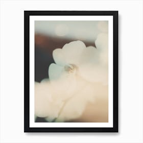 Flowers Art Print