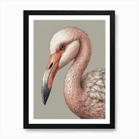 Flamingo 23 Art Print