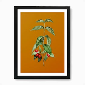 Vintage Cornelian Cherry Botanical on Sunset Orange n.0011 Art Print